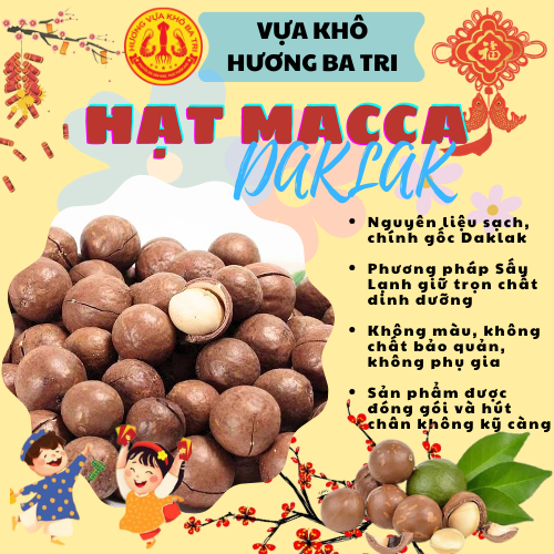 HẠT MACCA DAKLAK THƯỢNG HẠNG