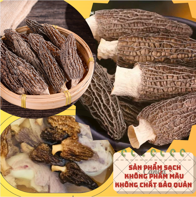 NẤM BỤNG DÊ CAO CẤP