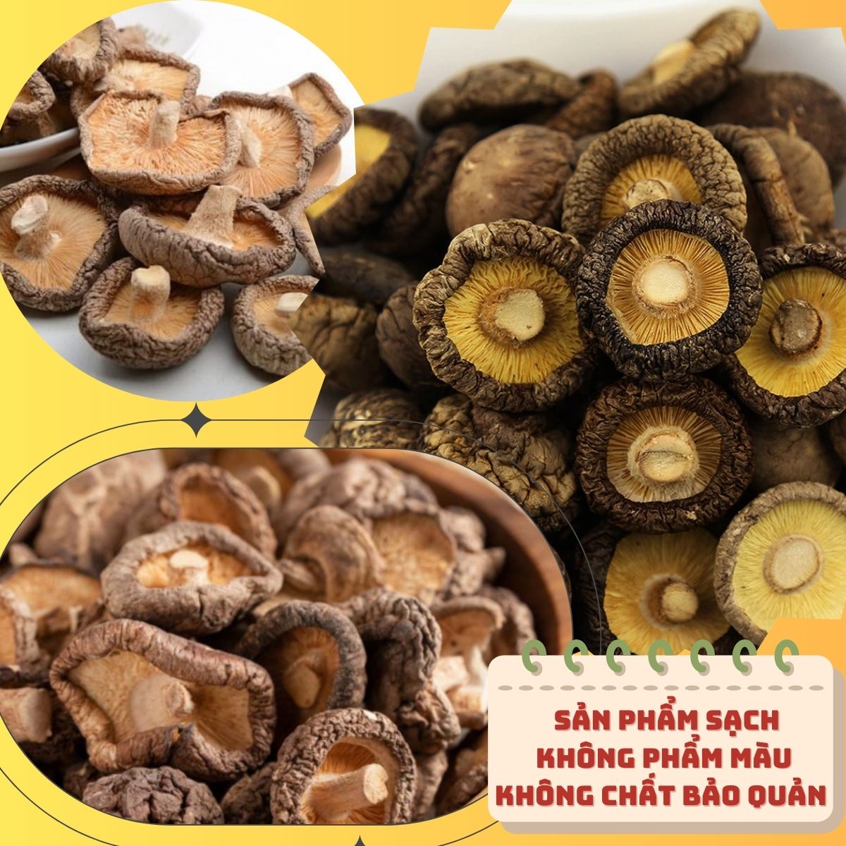 NẤM ĐÔNG CÔ KHÔ